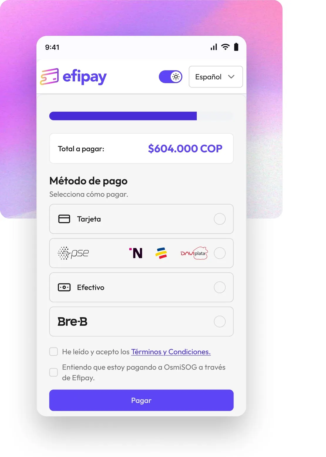 Panel de movimientos de Efipay