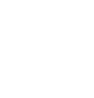 ducati.png